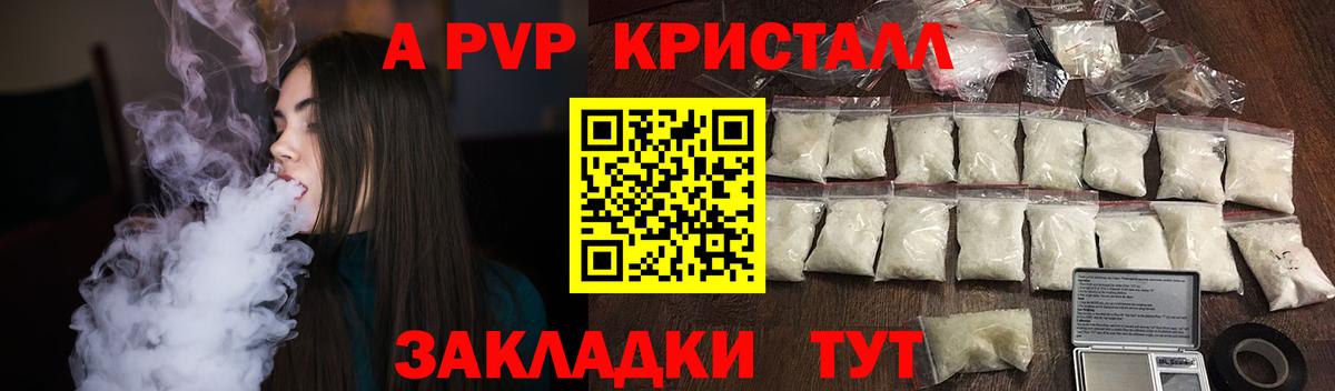 A-PVP СК Новодвинск