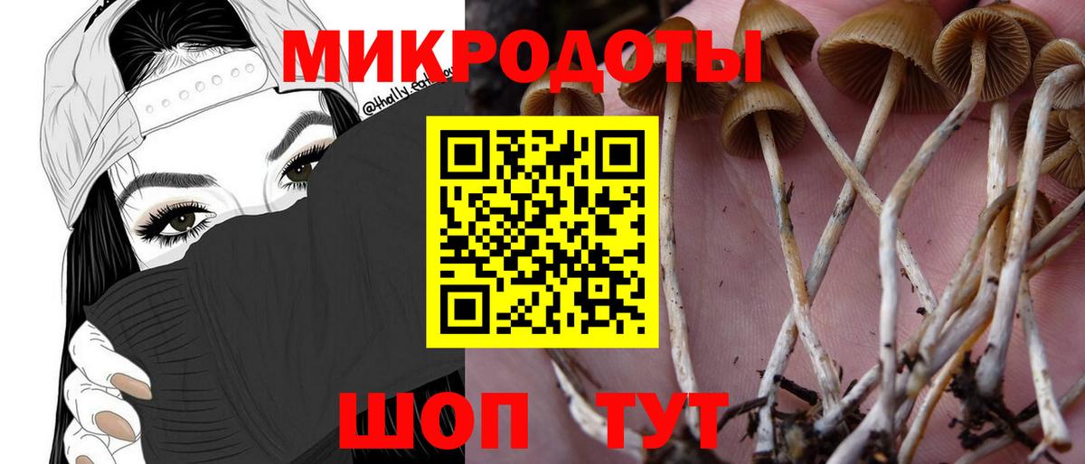 Новодвинск  как найти закладки  Вход с VPN  Галлюциногенные грибы мухоморы 